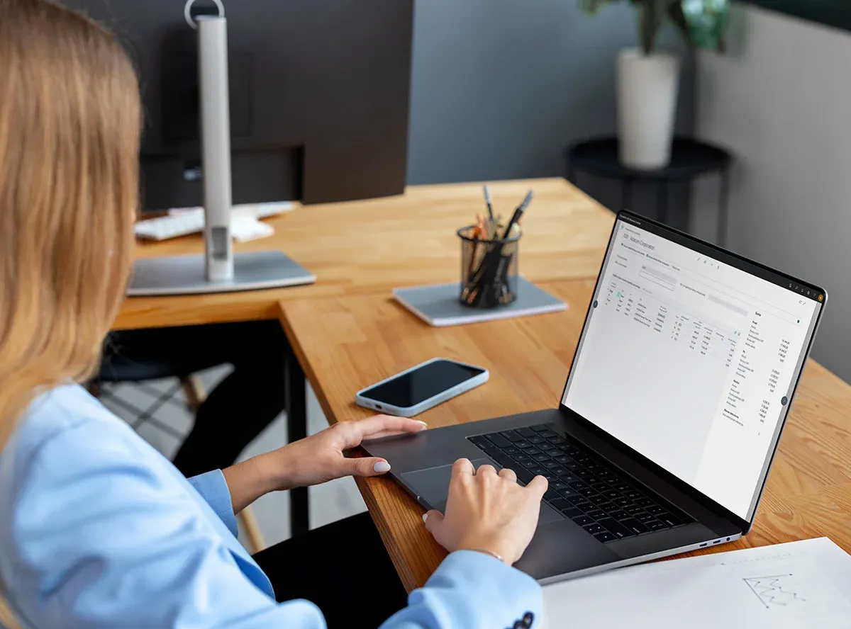 Business Central in action